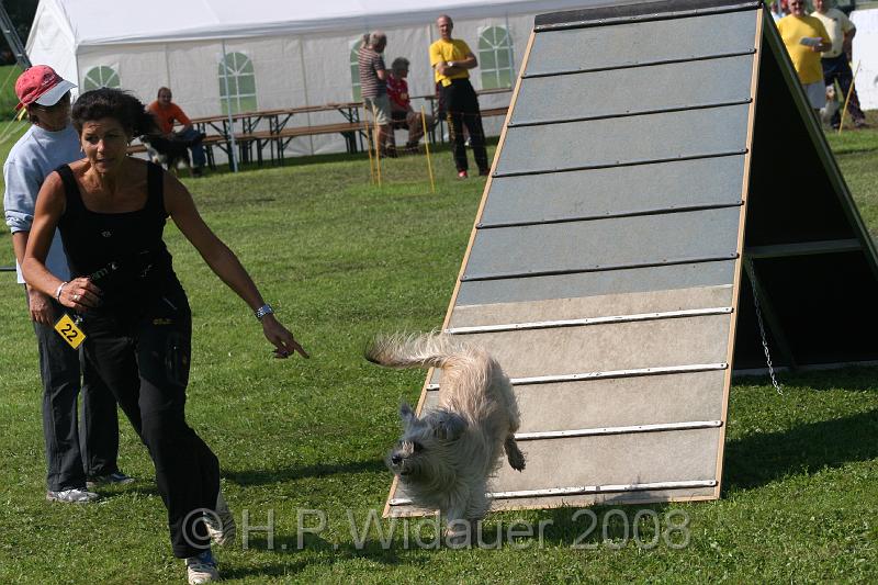 jubil.lusten. 224.jpg